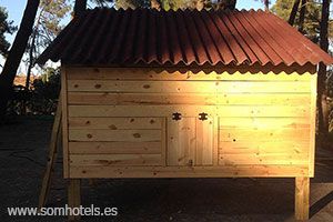 los mejores gallineros del 2021